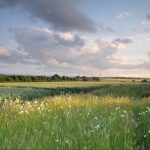 Why are there no Georgian houses in Newdigate?