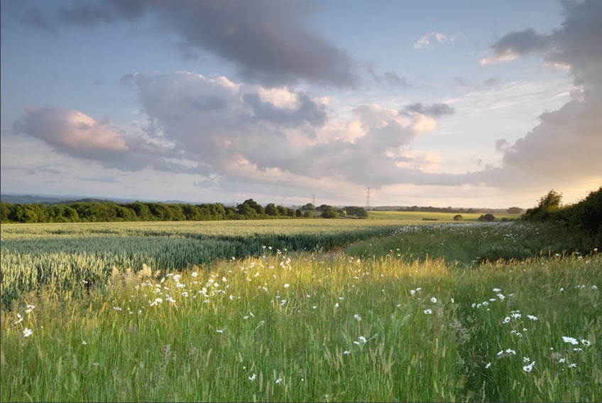 Why are there no Georgian houses in Newdigate?