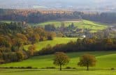 Explore Newlands Corner - 2 mile walk