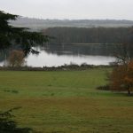 Volunteer Work Day at Gatton Park