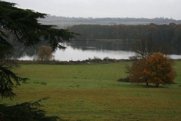 Volunteer Work Day at Gatton Park