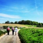 Explore Farthing Downs and Happy Valley, Coulsdon