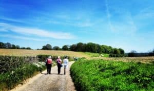 Explore Farthing Downs and Happy Valley, Coulsdon