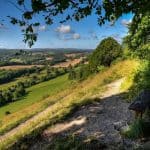 Explore Ranmore Common & Polesden Lacey - free, guided walk