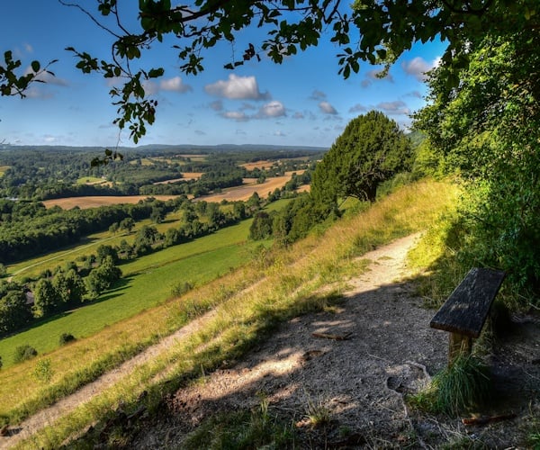 Explore Ranmore Common & Polesden Lacey - free, guided walk