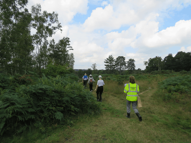 Explore Worplesdon - free, guided walk