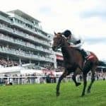 President's Day - Racing at Epsom