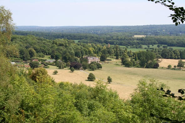 Surrey Hills, our wooded countryside - illustrated talk