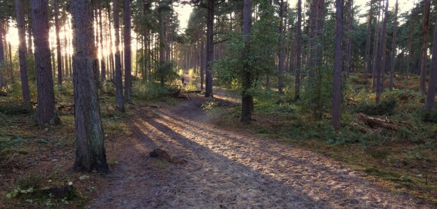Explore Blackheath - free, guided walk