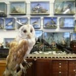 A Day in Reigate - Members Only
