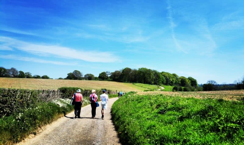 Become a walk leader - free, all day training