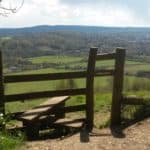 North Downs Way from Dorking to Reigate - free, guided walk