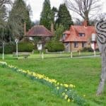 Explore Hambledon - free, guided walk