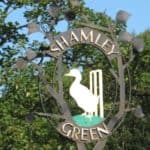 Tree identification walk in Shamley Green