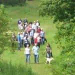 Explore the Greensand Way from Brockham to Reigate (2 walk options)