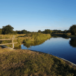 Exploring Shalford and the Tales of the Tillingbourne