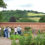 Harvest time at Patchworking Garden