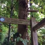Explore Thames Down link from Ashtead to Box Hill - free, guided walk