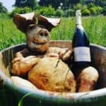 East Clandon Village Day - FULL