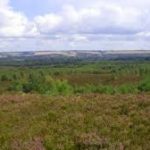 Explore Ash Ranges with Surrey Wildlife Trust