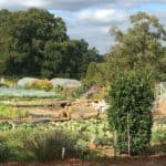 Growing Ventures in the Surrey Hills