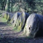 Chilworth and the Gunpowder Mills Free Guided walk as part of Guildford Walkfest