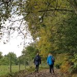 Tree Identification Walk