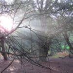 Explore Newlands Corner