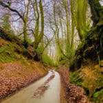 Photographic Competition Winner