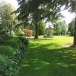 Caxton House Garden Visit