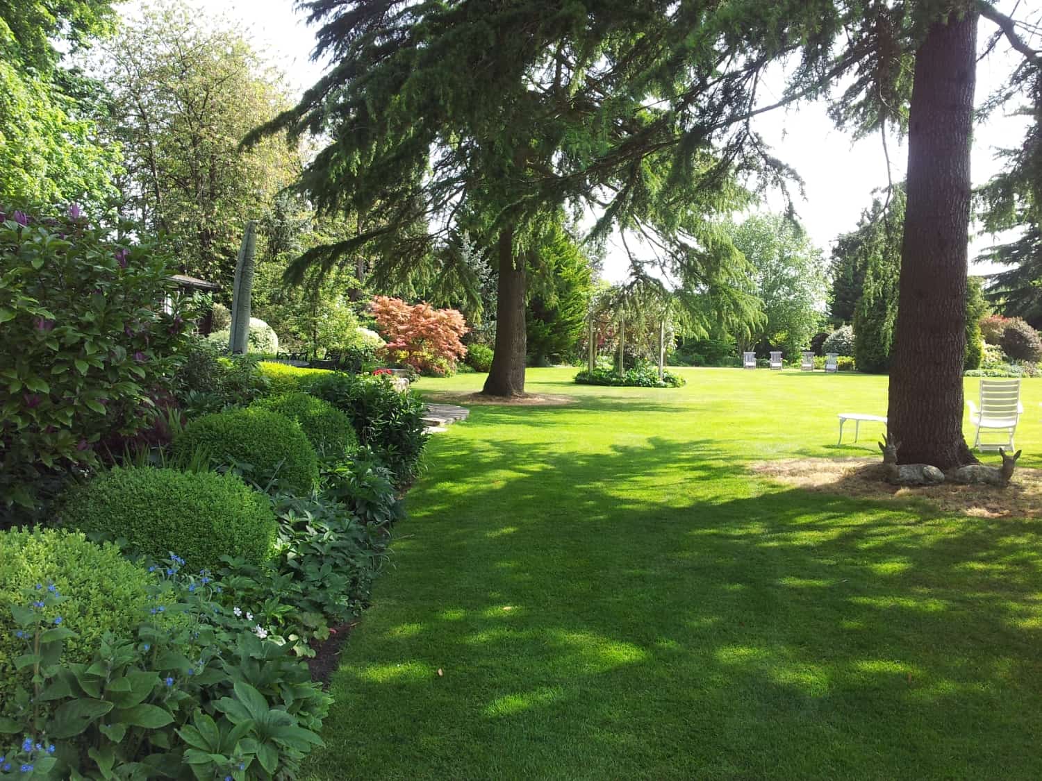 Caxton House Garden Visit