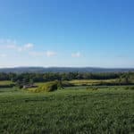 Guildown and Loseley walk - as part of Guildford's Walkfest