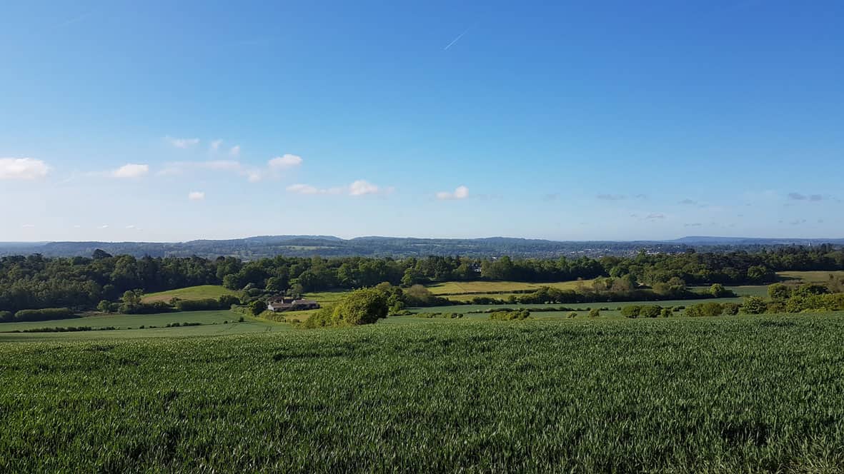 Guildown and Loseley walk - as part of Guildford's Walkfest