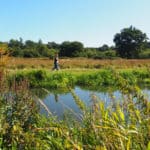 Old Railway Paths walk - as part of Guildford's Walkfest