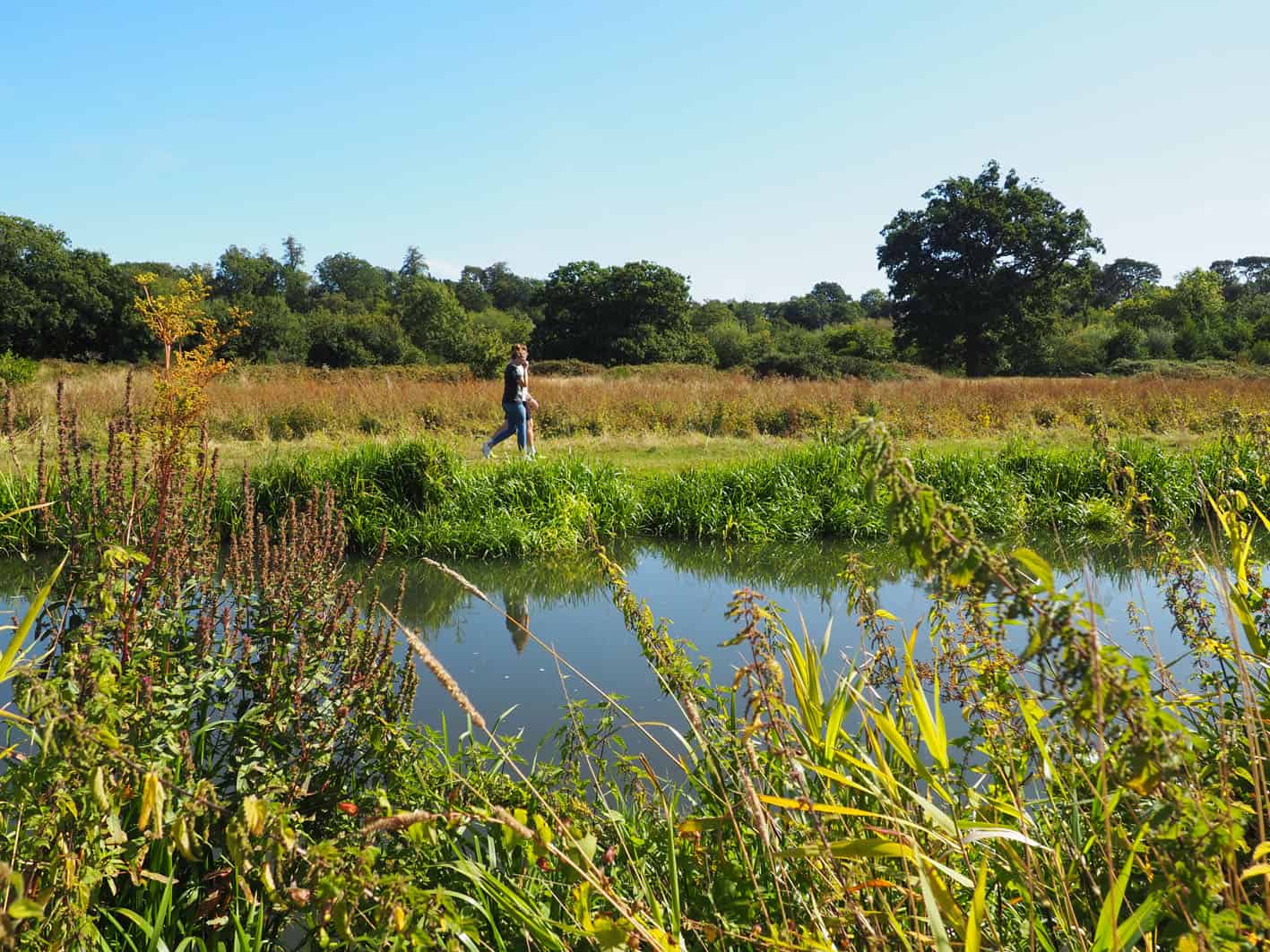 Old Railway Paths walk - as part of Guildford's Walkfest