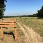 Walk round Effingham Common as part of Guildford's Walkfest