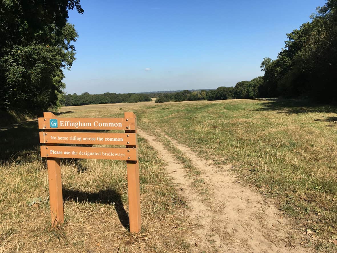 Walk round Effingham Common as part of Guildford's Walkfest