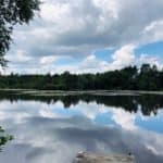 Pirbright Woodland and Henley Park Lake a walk as part of Guildford's Walkfest