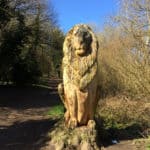 Exploring Banstead Woods