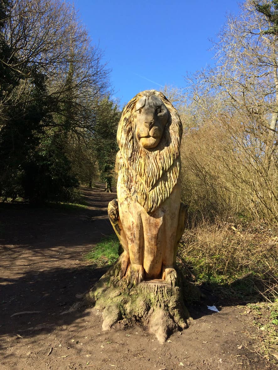 Exploring Banstead Woods