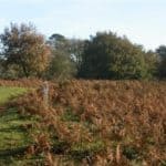 Puttenham Common and Lydling Farm a walk as part of Guildford's Walkfest