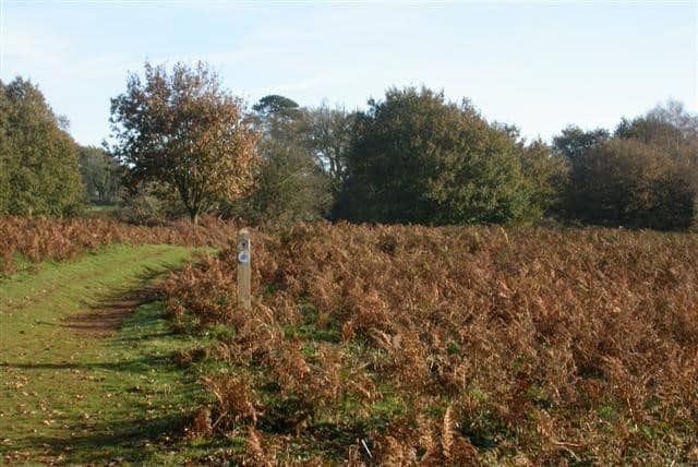 Puttenham Common and Lydling Farm a walk as part of Guildford's Walkfest