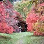 A Visit to Ramster Garden