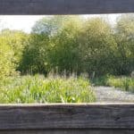Explore Guildford’s Hidden Nature Reserve as part of Guildford's Walkfest