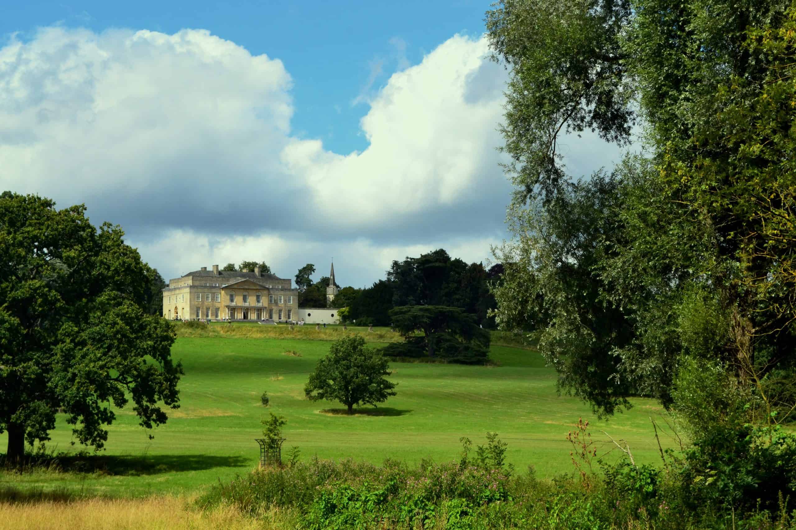 Gatton’s Trees: Ancient and Modern