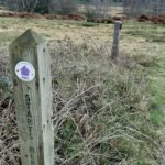 Exploring Chobham Common