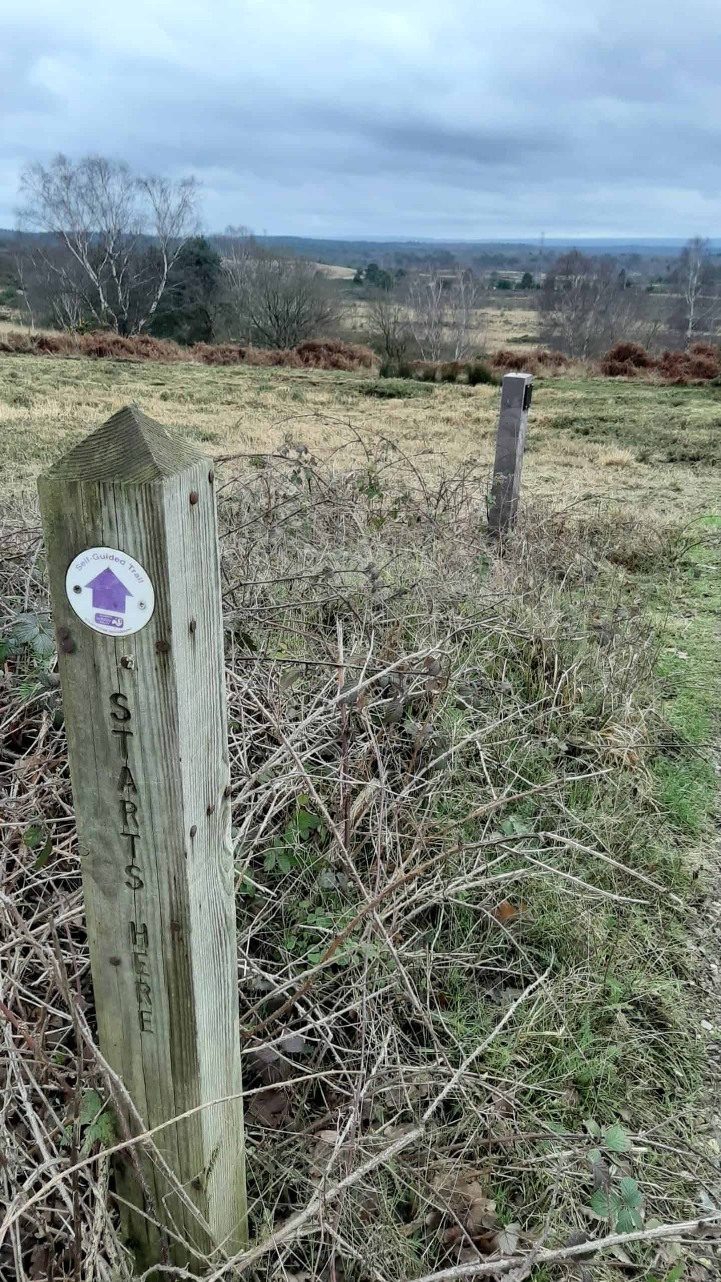 Exploring Chobham Common