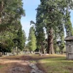 Visit to Brookwood Cemetery with High Sheriff of Surrey