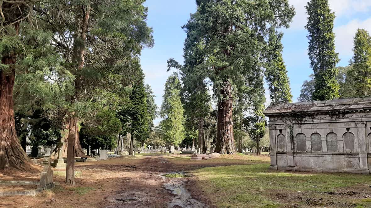 Visit to Brookwood Cemetery with High Sheriff of Surrey
