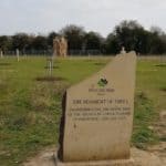 Guided walk at Langley Vale Wood